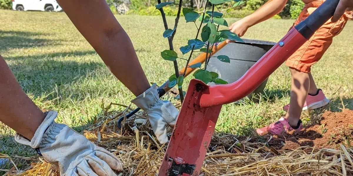 Farm School Garden History